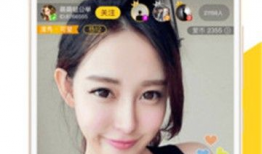 91大秀直播软件地址,探索激情四溢的虚拟娱乐新天地